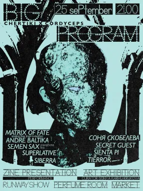BIG PROGRAM poster