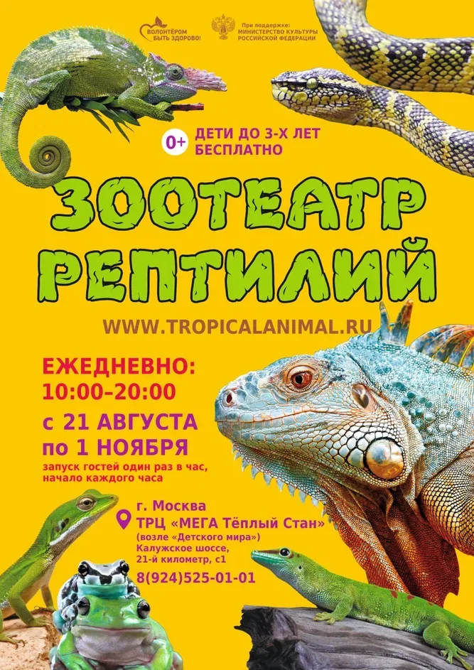 Зоотеатр Рептилий в г.Москва ТРЦ "МЕГА Теплый Стан"