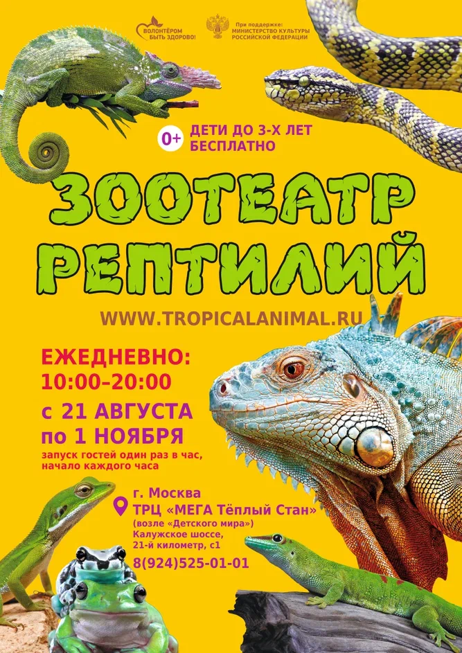 Зоотеатр Рептилий в г.Москва ТРЦ "МЕГА Теплый Стан"