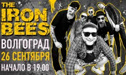 16.10 - THE IRON BEES. 17й день рождения @ Волгоград