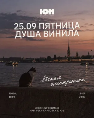 ДУША ВИНИЛА poster