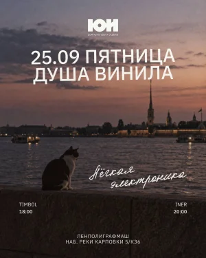 ДУША ВИНИЛА