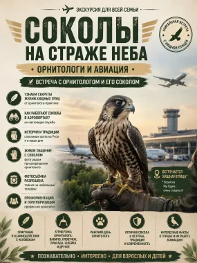 СОКОЛЫ НА СТРАЖЕ НЕБА. ОРНИТОЛОГИ И АВИАЦИЯ. Встреча с орнитологом и его соколом poster