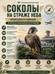 СОКОЛЫ НА СТРАЖЕ НЕБА. ОРНИТОЛОГИ И АВИАЦИЯ. Встреча с орнитологом и его соколом