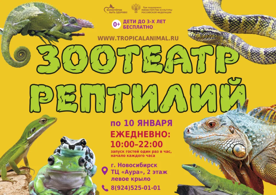 Зоотеатр Рептилий в г. Новосибирск