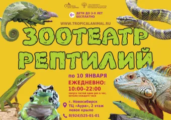 Зоотеатр Рептилий в г. Новосибирск poster