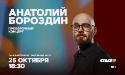 Анатолий Бороздин / Проверочный стендап-концерт / 25 октября / 18:30