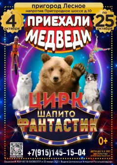 ЦИРК ФАНТАСТИК poster