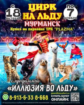 цирк на льду poster