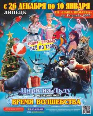 цирк на льду poster