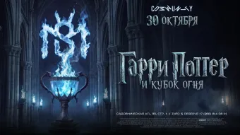 Гарри Поттер и кубок огня poster