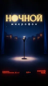 Ночной стендап poster