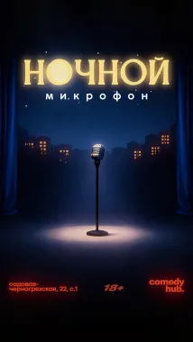 Ночной стендап poster