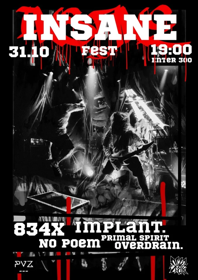 INSANE FEST