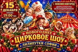 Новогоднее Цирковое шоу в Нижнем Новгороде