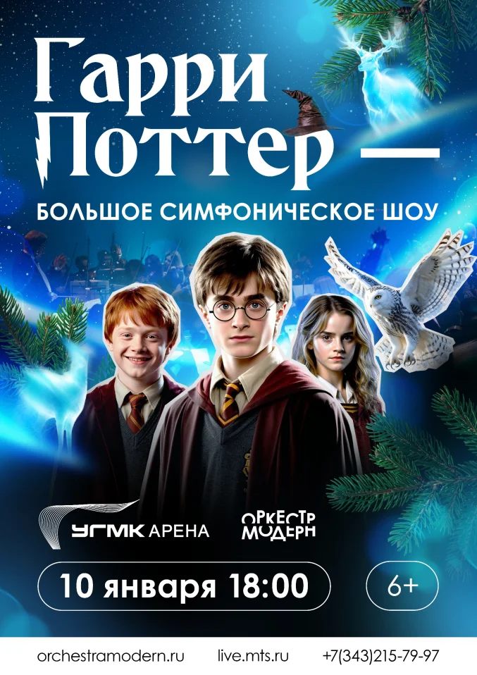 Гарри Поттер - большое симфоническое шоу