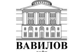 Вавилов-лофт
