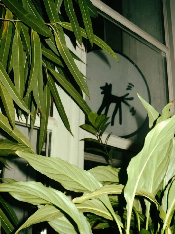 Maxou all night long