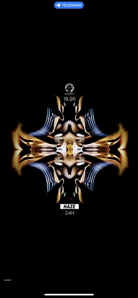 GAZ in HAZE w. Kozo | 24h