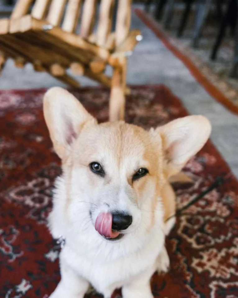 Ура! Терраса