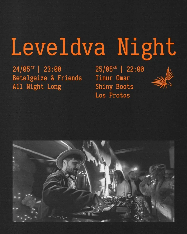 Leveldva night