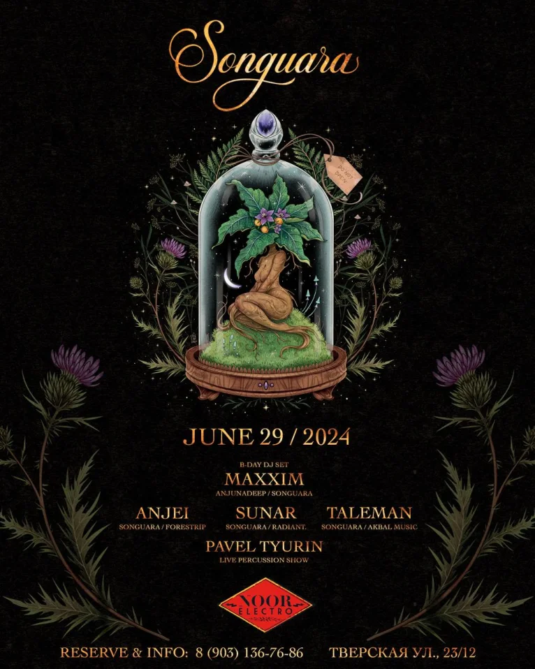 Songuara Summer Night