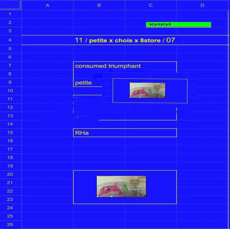 petite x choise x 8store