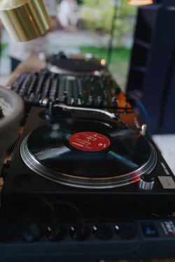 Vinyl Dvor