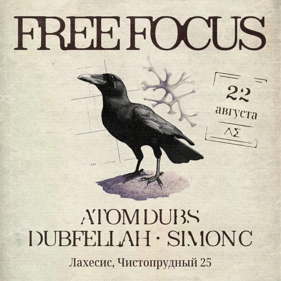 Free Focus