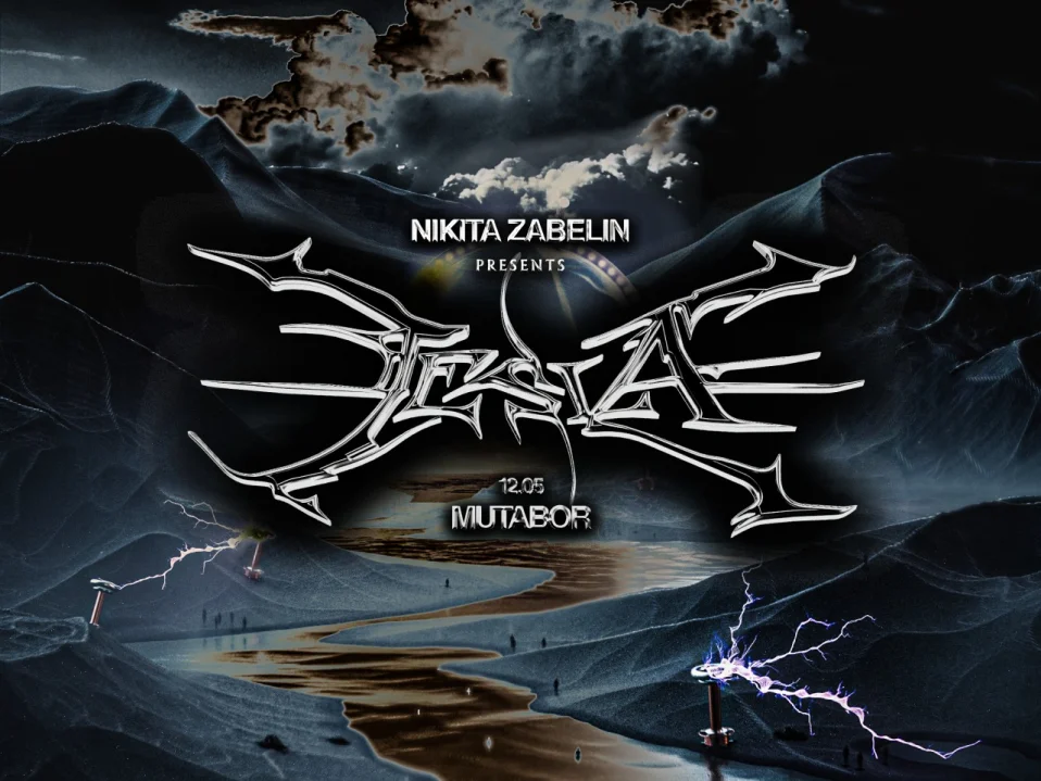 Nikita Zabelin: Tesla